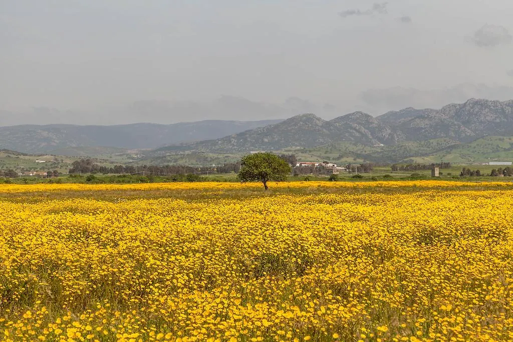 The Old Farm Asfodeli - Adults Only 3*, Sanalvò Italien